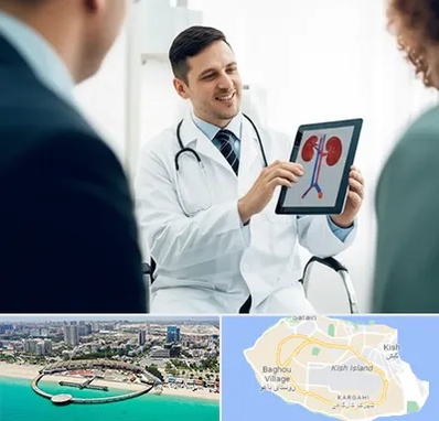 دکتر فوق تخصص سنگ کلیه در کیش