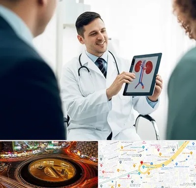 دکتر فوق تخصص سنگ کلیه در میدان ولیعصر 