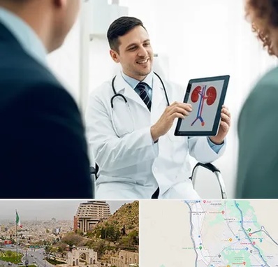 دکتر فوق تخصص سنگ کلیه در فرهنگ شهر شیراز 