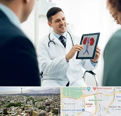 دکتر فوق تخصص سنگ کلیه در گیشا 