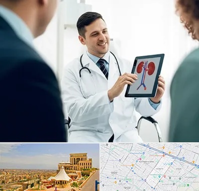 دکتر فوق تخصص سنگ کلیه در هاشمیه مشهد 