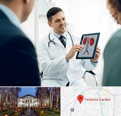 دکتر فوق تخصص سنگ کلیه در باغ فردوس 