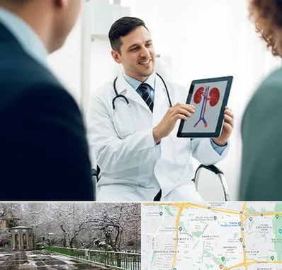 دکتر فوق تخصص سنگ کلیه در باغ فیض 