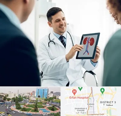 دکتر فوق تخصص سنگ کلیه در ونک 