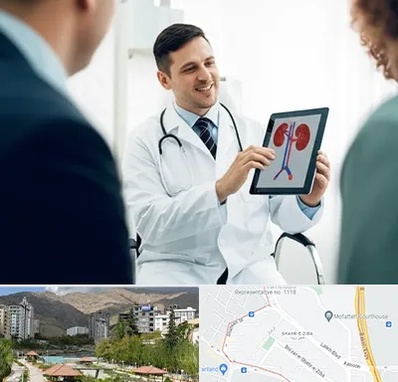 دکتر فوق تخصص سنگ کلیه در شهر زیبا 
