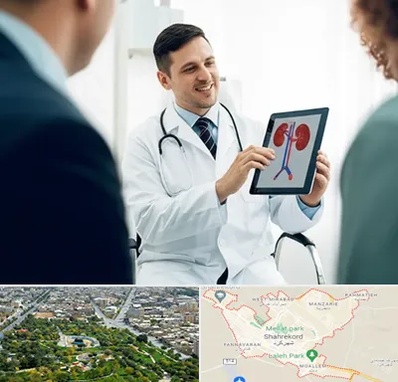 دکتر فوق تخصص سنگ کلیه در شهرکرد