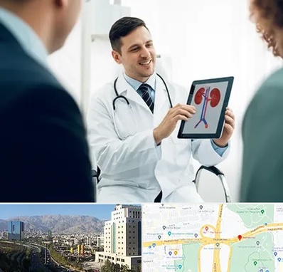 دکتر فوق تخصص سنگ کلیه در حقانی 