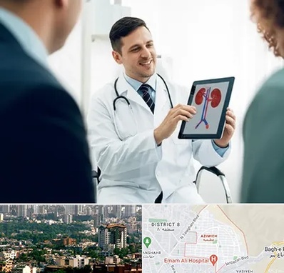 دکتر فوق تخصص سنگ کلیه در عظیمیه کرج 