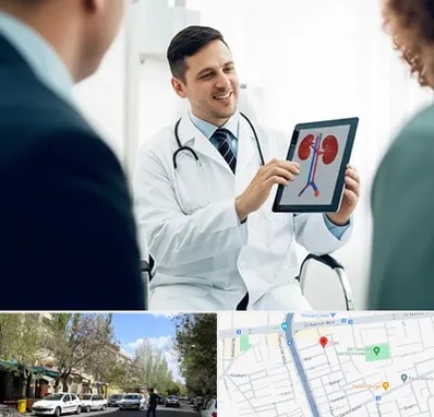 دکتر فوق تخصص سنگ کلیه در کوی فیروز تبریز 