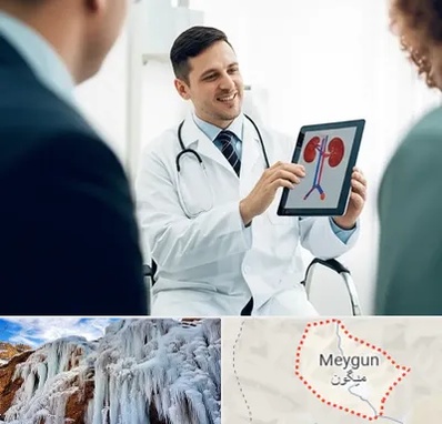 دکتر فوق تخصص سنگ کلیه در میگون