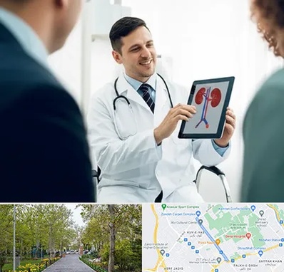 دکتر فوق تخصص سنگ کلیه در قدوسی غربی شیراز 