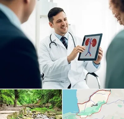 دکتر فوق تخصص سنگ کلیه در گلستان