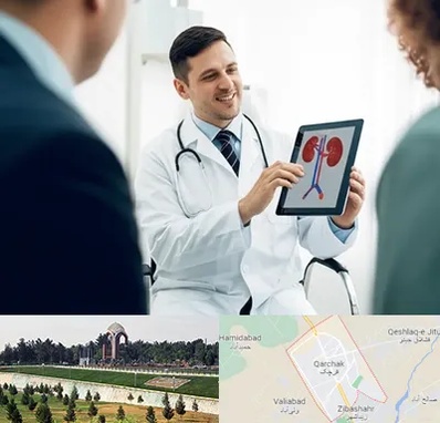 دکتر فوق تخصص سنگ کلیه در قرچک