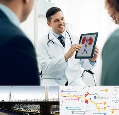 دکتر فوق تخصص سنگ کلیه در پارک وی 