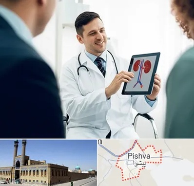 دکتر فوق تخصص سنگ کلیه در پیشوا