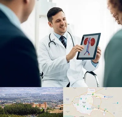 دکتر فوق تخصص سنگ کلیه در بیرجند