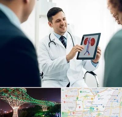 دکتر فوق تخصص سنگ کلیه در منطقه 3 تهران 