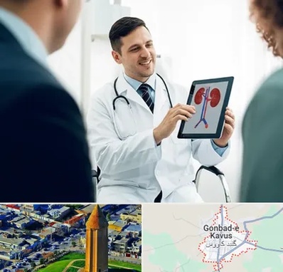دکتر فوق تخصص سنگ کلیه در گنبد کاووس
