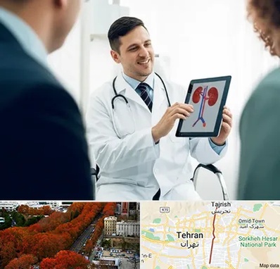 دکتر فوق تخصص سنگ کلیه در ولیعصر 