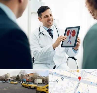 دکتر فوق تخصص سنگ کلیه در شهناز تبریز 