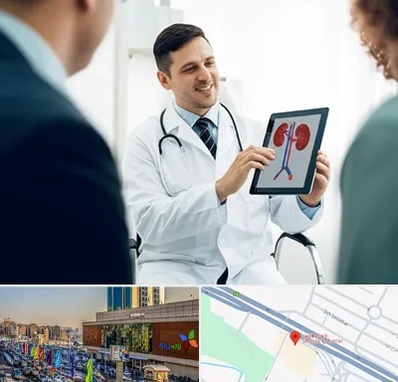 دکتر فوق تخصص سنگ کلیه در لاله پارک تبریز 