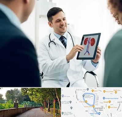 دکتر فوق تخصص سنگ کلیه در بلوار گیلان رشت 