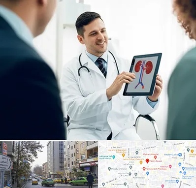 دکتر فوق تخصص سنگ کلیه در فاطمی 