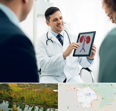 دکتر فوق تخصص سنگ کلیه در بهبهان
