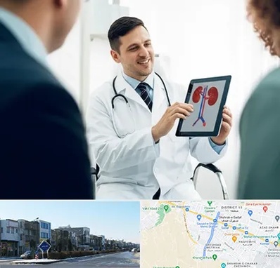 دکتر فوق تخصص سنگ کلیه در شریعتی مشهد 