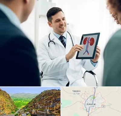 دکتر فوق تخصص سنگ کلیه در کامیاران