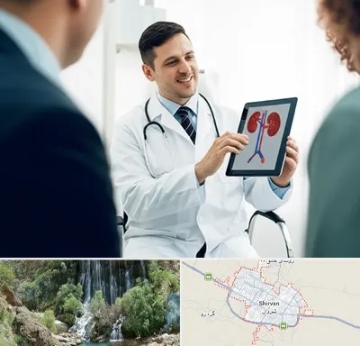 دکتر فوق تخصص سنگ کلیه در شیروان