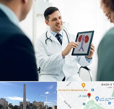 دکتر فوق تخصص سنگ کلیه در فلکه گاز شیراز 