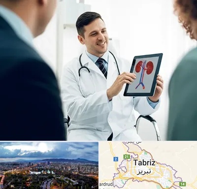 دکتر فوق تخصص سنگ کلیه در تبریز