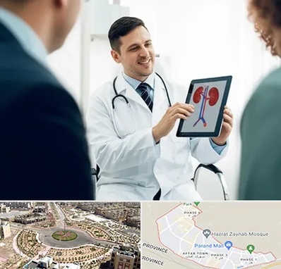 دکتر فوق تخصص سنگ کلیه در پرند