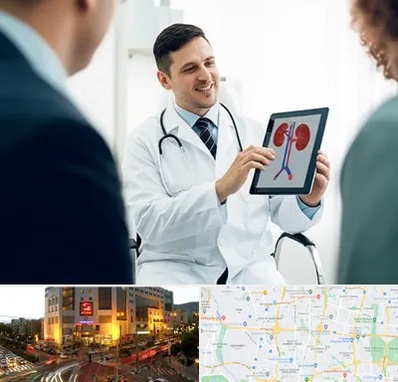 دکتر فوق تخصص سنگ کلیه در جنت آباد تهران 