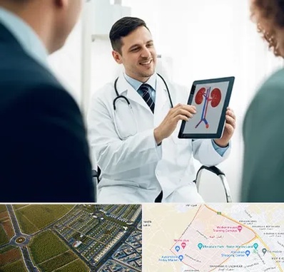 دکتر فوق تخصص سنگ کلیه در الهیه مشهد 