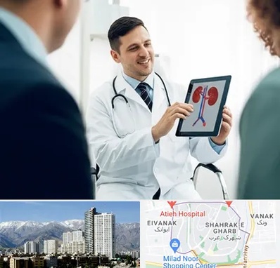 دکتر فوق تخصص سنگ کلیه در شهرک غرب 