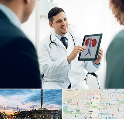 دکتر فوق تخصص سنگ کلیه در منطقه 2 تهران 