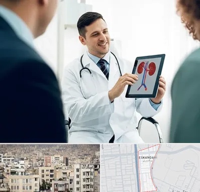 دکتر فوق تخصص سنگ کلیه در اسکندری 