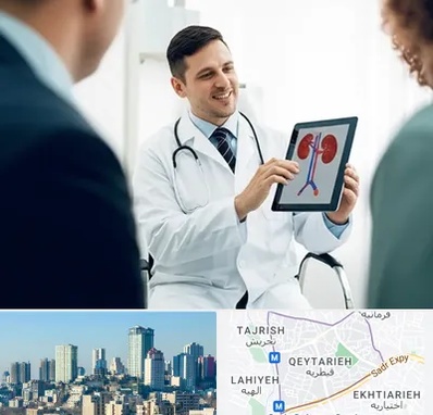 دکتر فوق تخصص سنگ کلیه در قیطریه 