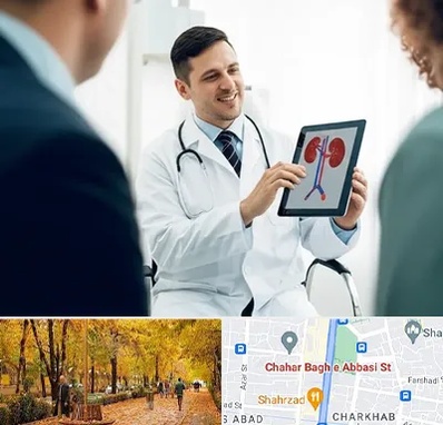 دکتر فوق تخصص سنگ کلیه در چهارباغ اصفهان 