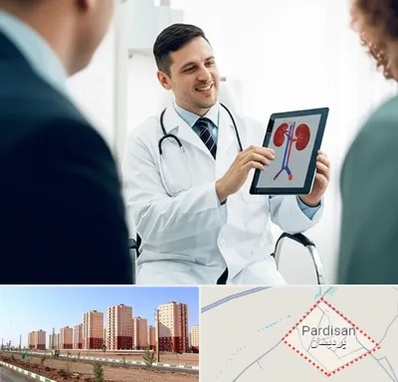 دکتر فوق تخصص سنگ کلیه در پردیسان قم 