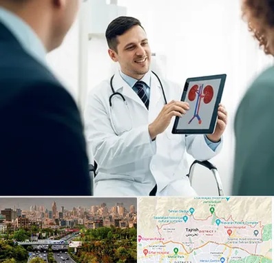 دکتر فوق تخصص سنگ کلیه در منطقه 1 تهران 