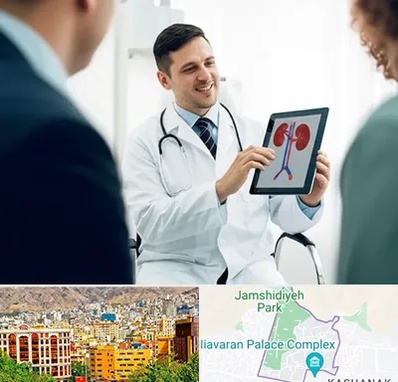 دکتر فوق تخصص سنگ کلیه در نیاوران 