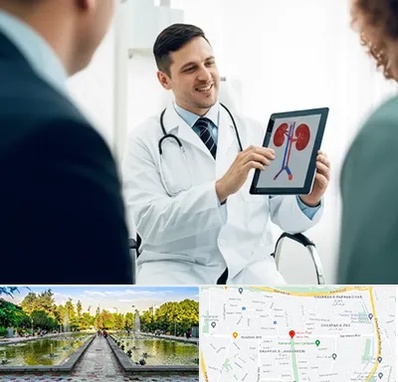 دکتر فوق تخصص سنگ کلیه در سرسبز 