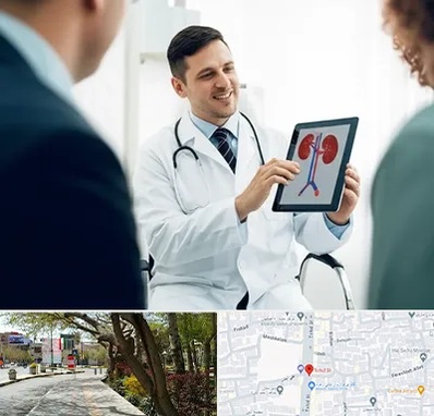 دکتر فوق تخصص سنگ کلیه در خیابان توحید اصفهان 