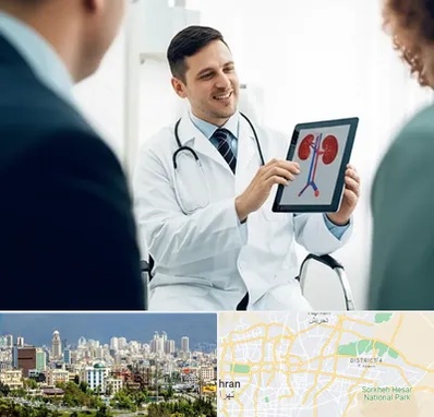 دکتر فوق تخصص سنگ کلیه در شرق تهران 