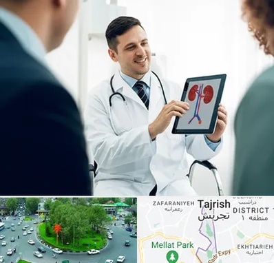 دکتر فوق تخصص سنگ کلیه در تجریش 