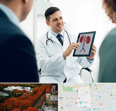 دکتر فوق تخصص سنگ کلیه در منطقه 6 تهران 