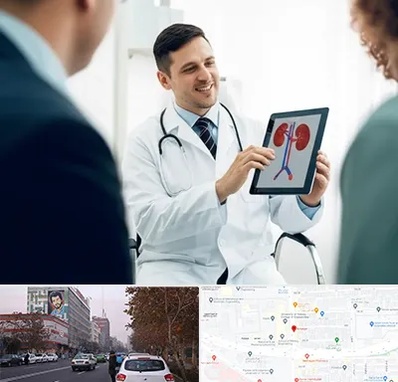 دکتر فوق تخصص سنگ کلیه در کارگر شمالی 